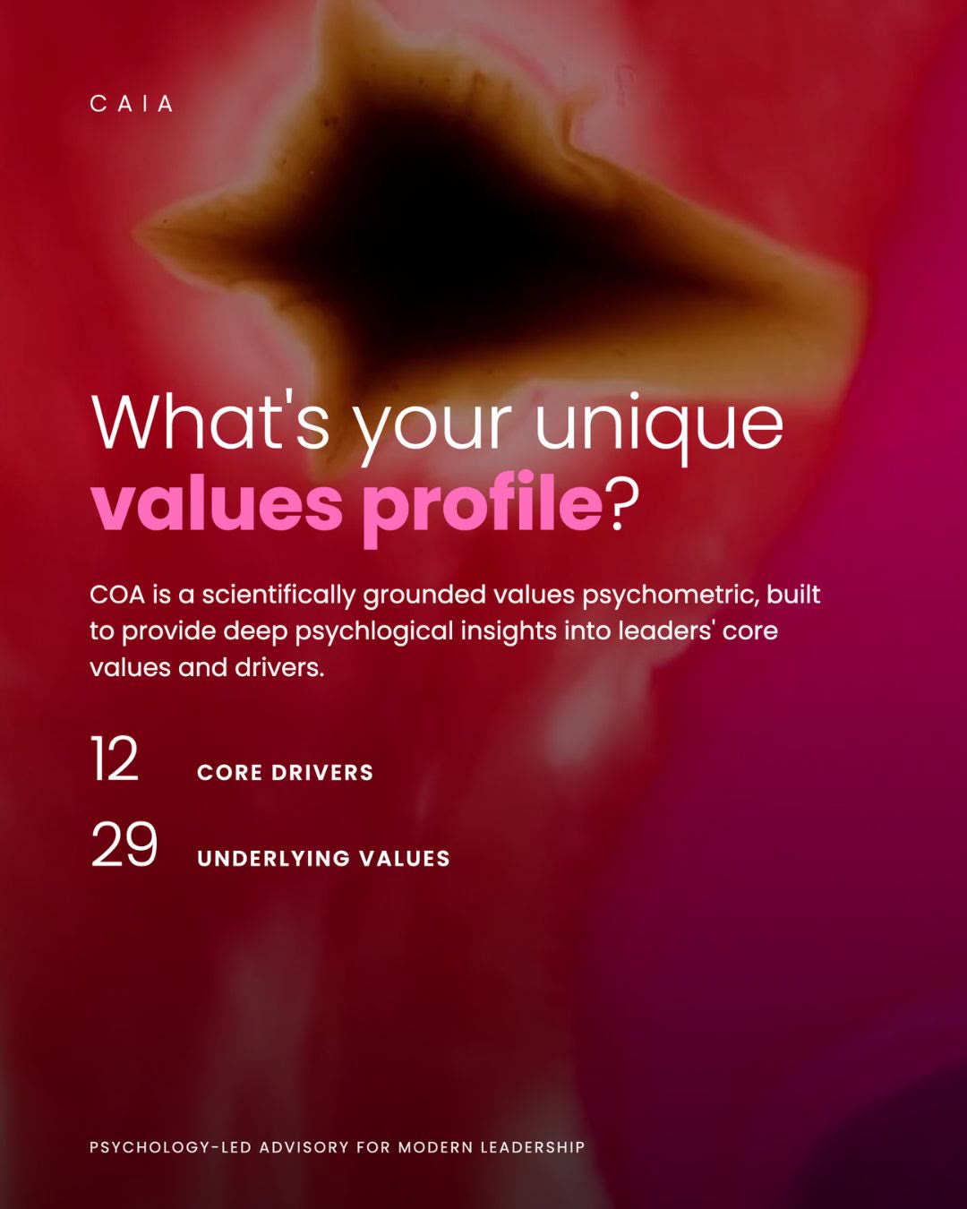 What's your unique values profile? 12 core drivers, 29 underlying values