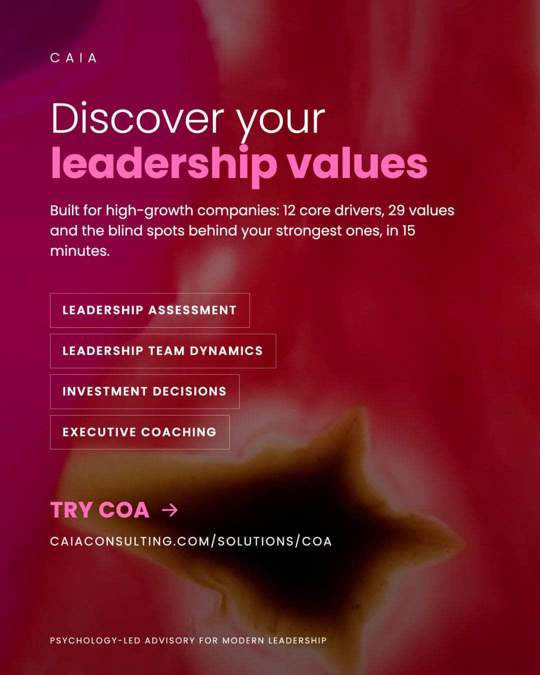 Discover your leadership values. Try COA